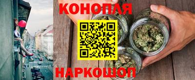 соль ск Новозыбков