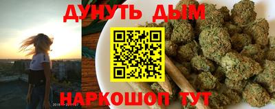 соль ск Новозыбков